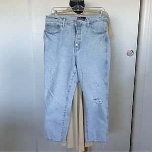 Gap High Rise Slim Jeans Button Fly Distressed 14/32S